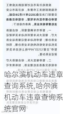 哈尔滨机动车违章查询系统,哈尔滨机动车违章查询系统官网