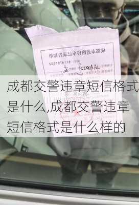 成都交警违章短信格式是什么,成都交警违章短信格式是什么样的