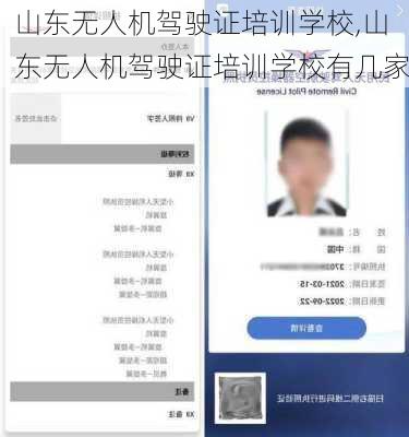 山东无人机驾驶证培训学校,山东无人机驾驶证培训学校有几家