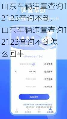 山东车辆违章查询12123查询不到,山东车辆违章查询12123查询不到怎么回事