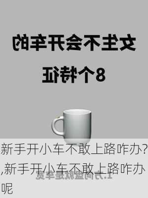 新手开小车不敢上路咋办?,新手开小车不敢上路咋办呢